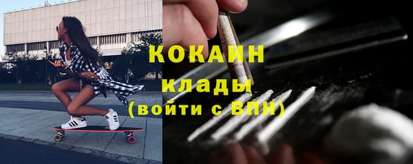 индика Абаза