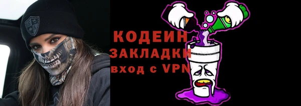 индика Абаза