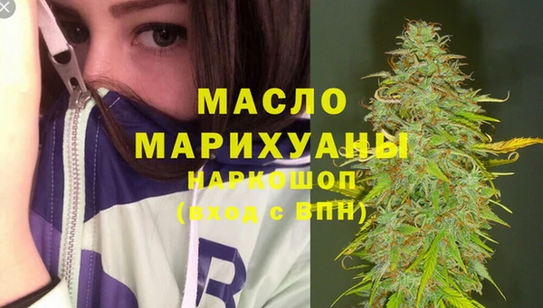 индика Абаза
