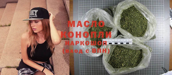 индика Абаза