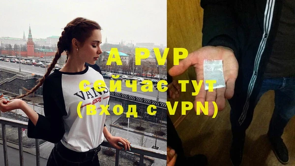 индика Абаза