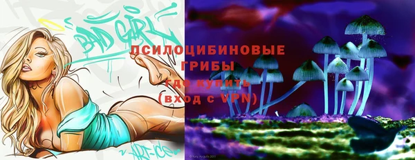 PSILOCYBIN Абинск