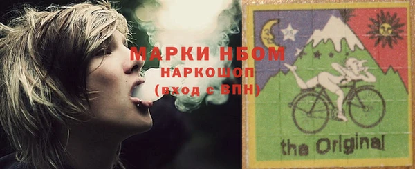 индика Абаза