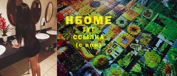 индика Абаза